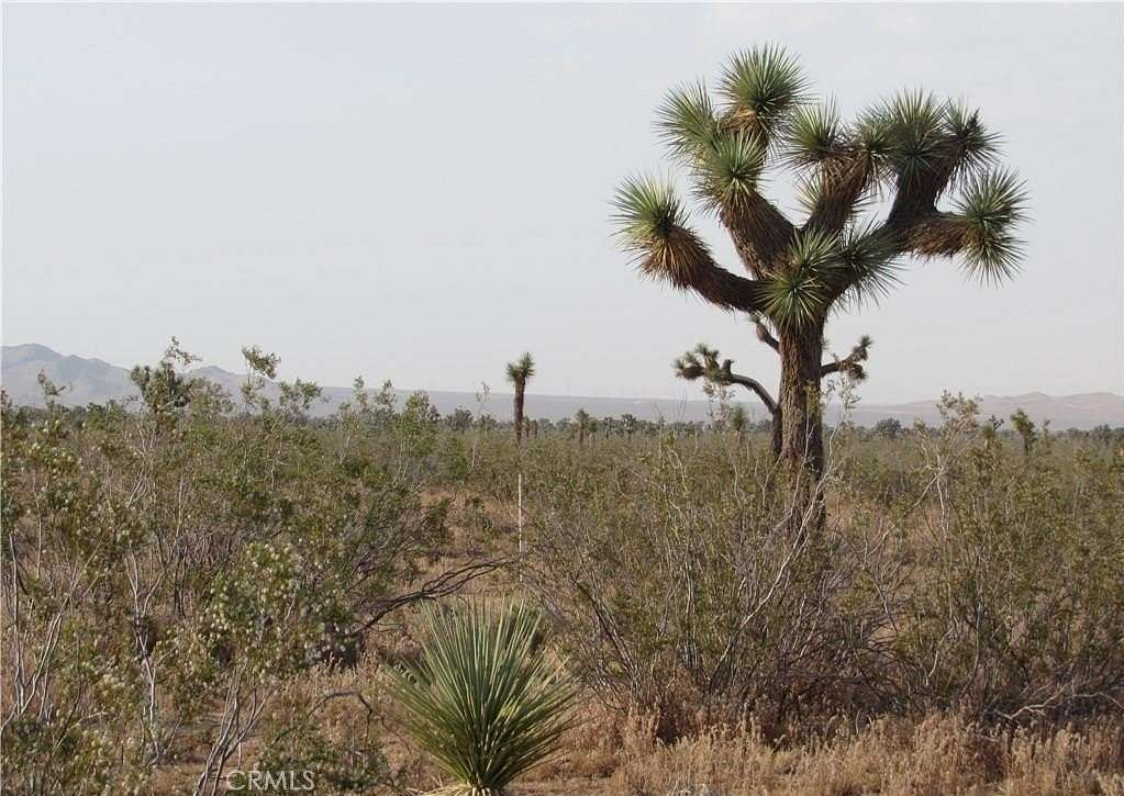 1.34 Acres of Land for Sale in Adelanto, California