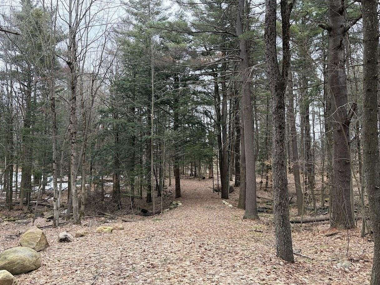 36.9 Acres of Recreational & Residential Land for Sale in Colton, New York
