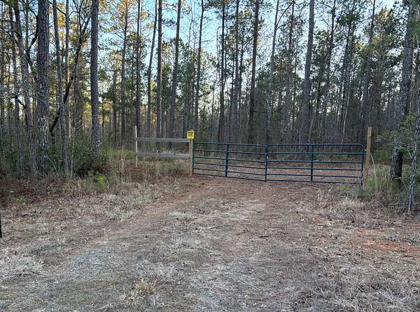 97 Acres of Recreational Land for Sale in Roberta, Georgia