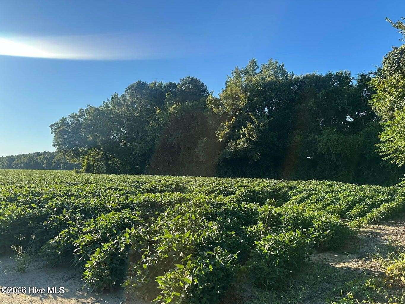 10 Acres of Residential Land for Sale in Lucama, North Carolina