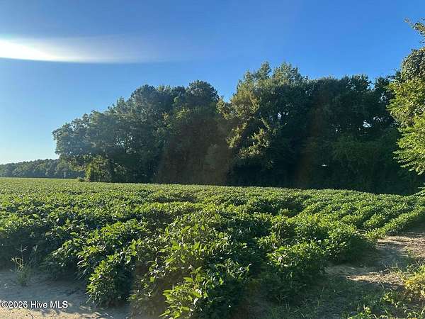 10 Acres of Residential Land for Sale in Lucama, North Carolina