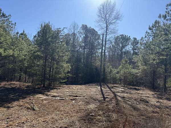 10 Acres of Land for Sale in Berry, Alabama