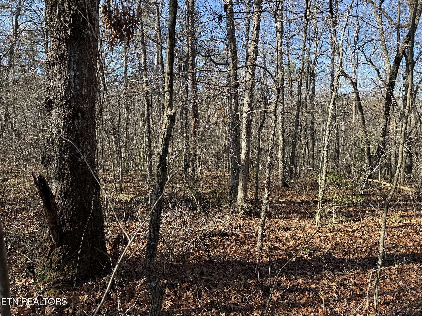 14.1 Acres of Land for Sale in Monterey, Tennessee