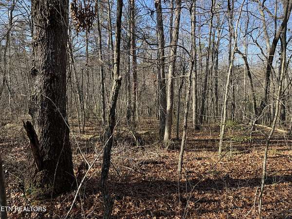 14.1 Acres of Land for Sale in Monterey, Tennessee