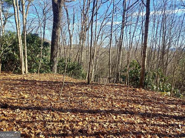 1.63 Acres of Land for Sale in Dillard, Georgia