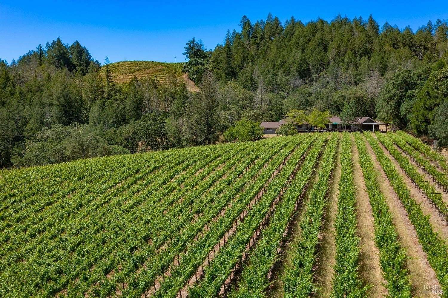 13.4 Acres of Land with Home for Sale in Calistoga, California