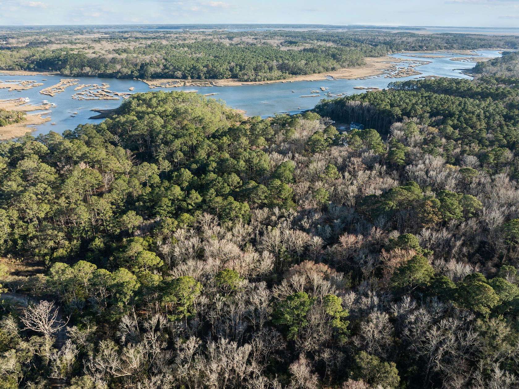 31.5 Acres of Land for Sale in Meggett, South Carolina