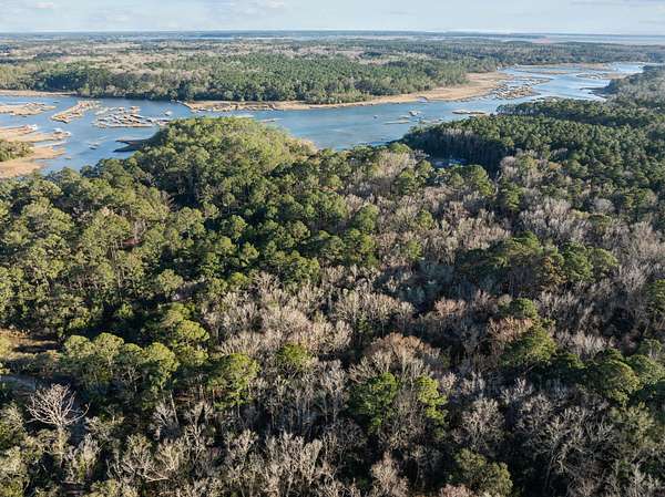 31.5 Acres of Land for Sale in Meggett, South Carolina