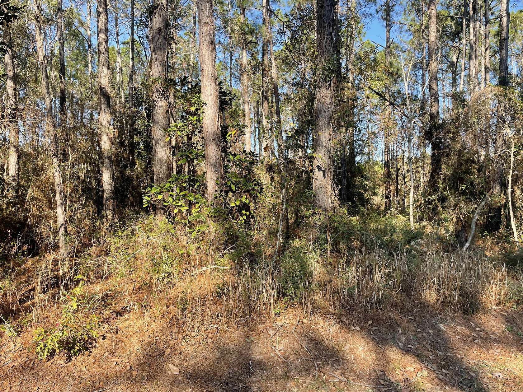 0.41 Acres of Residential Land for Sale in Bay St. Louis, Mississippi