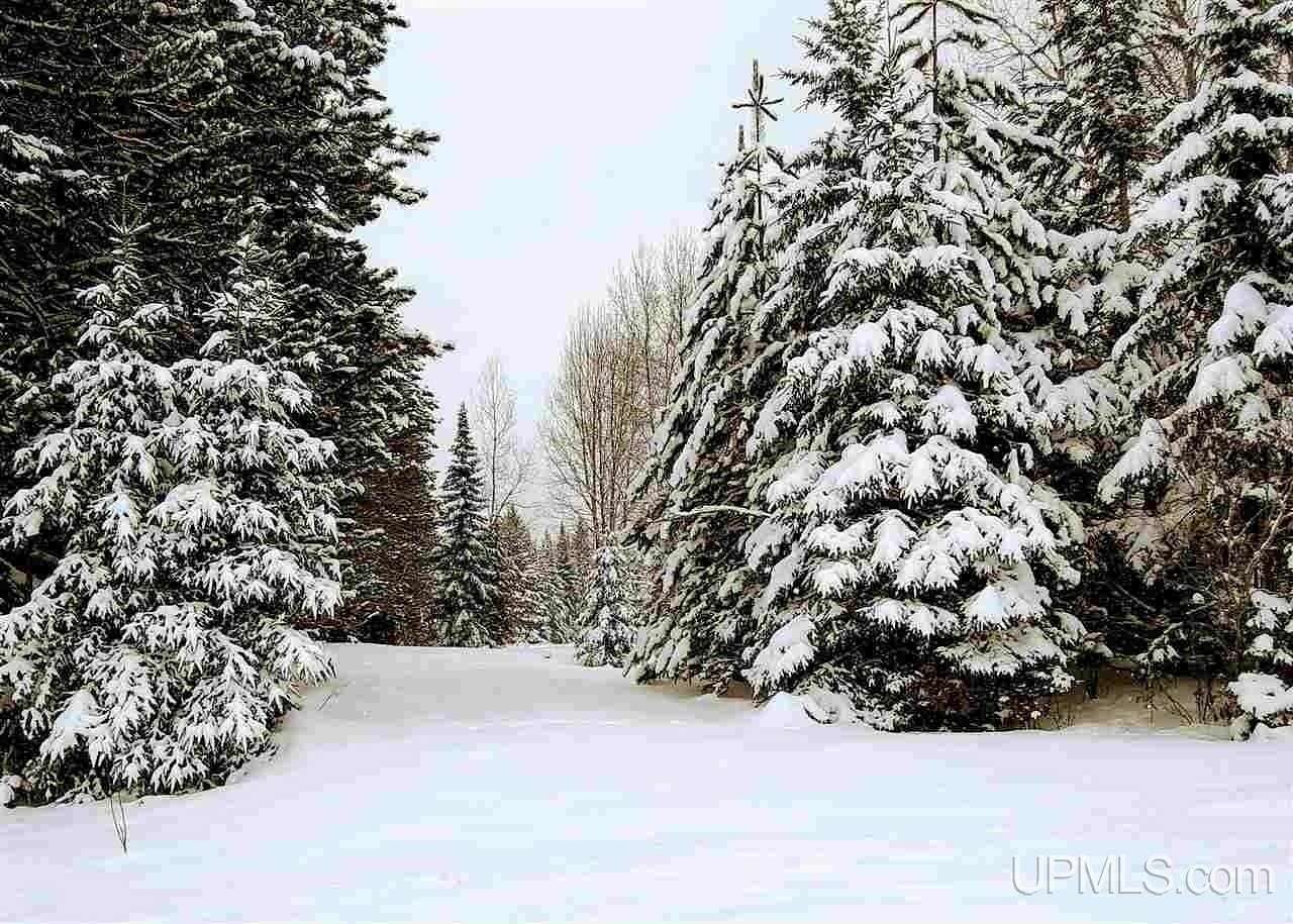 40 Acres of Recreational Land for Sale in Baraga, Michigan