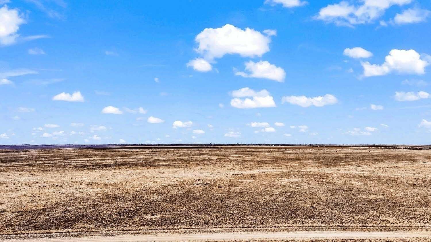 10 Acres of Recreational Land for Sale in Brownfield, Texas