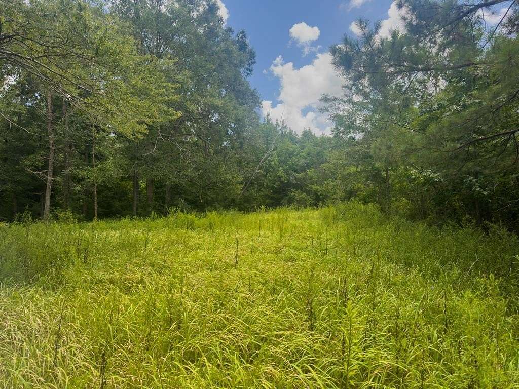 27 Acres of Land for Sale in Poplarville, Mississippi