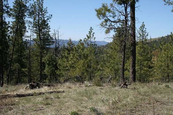 10 Acres of Recreational Land for Sale in Fruitland, Washington