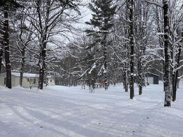 40.5 Acres of Recreational Land with Home for Sale in Chase, Michigan