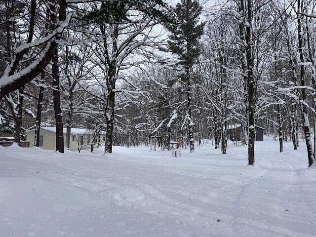 40.5 Acres of Recreational Land with Home for Sale in Chase, Michigan