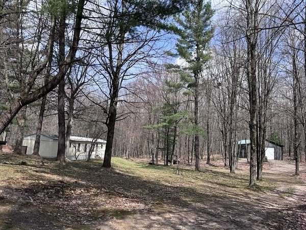 40.5 Acres of Recreational Land with Home for Sale in Chase, Michigan