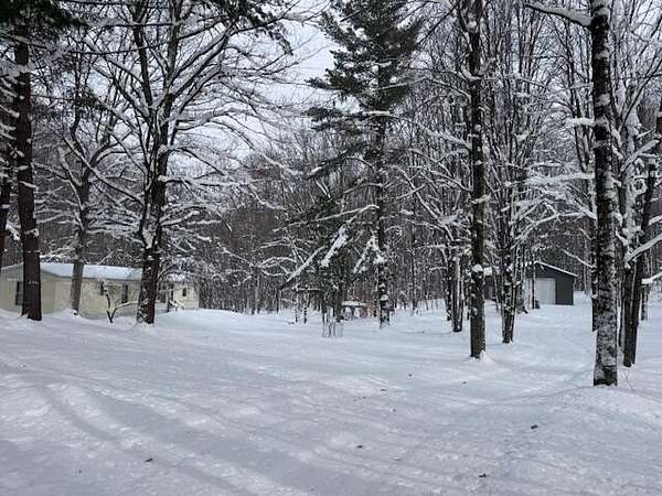 40.5 Acres of Recreational Land with Home for Sale in Chase, Michigan