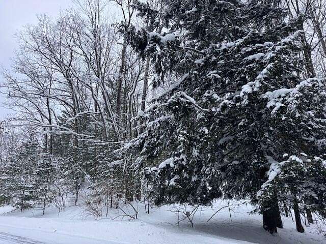 3.35 Acres of Residential Land for Sale in Chase, Michigan