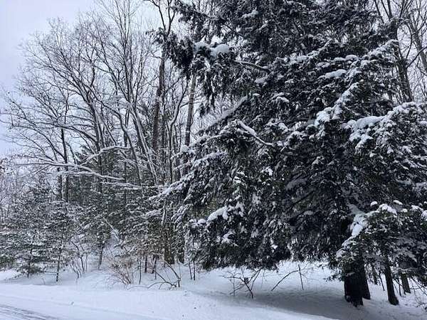 3.35 Acres of Residential Land for Sale in Chase, Michigan