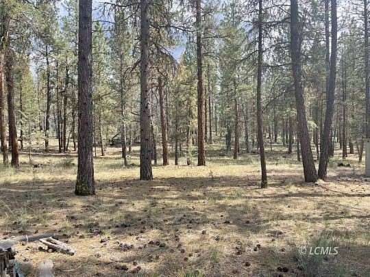20 Acres of Recreational Land for Sale in Chiloquin, Oregon