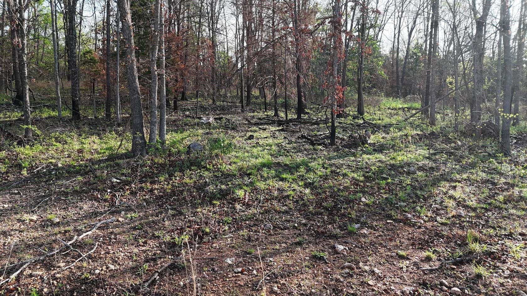 13.1 Acres of Land for Sale in Hartville, Missouri
