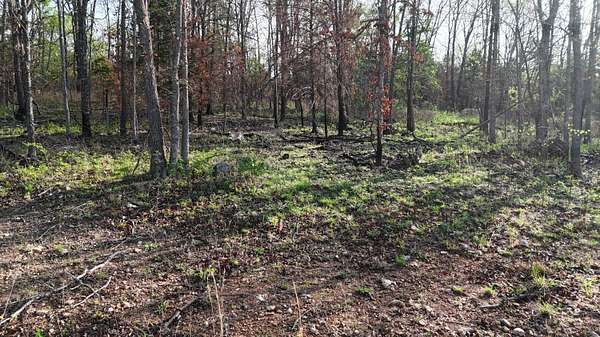 13.1 Acres of Land for Sale in Hartville, Missouri