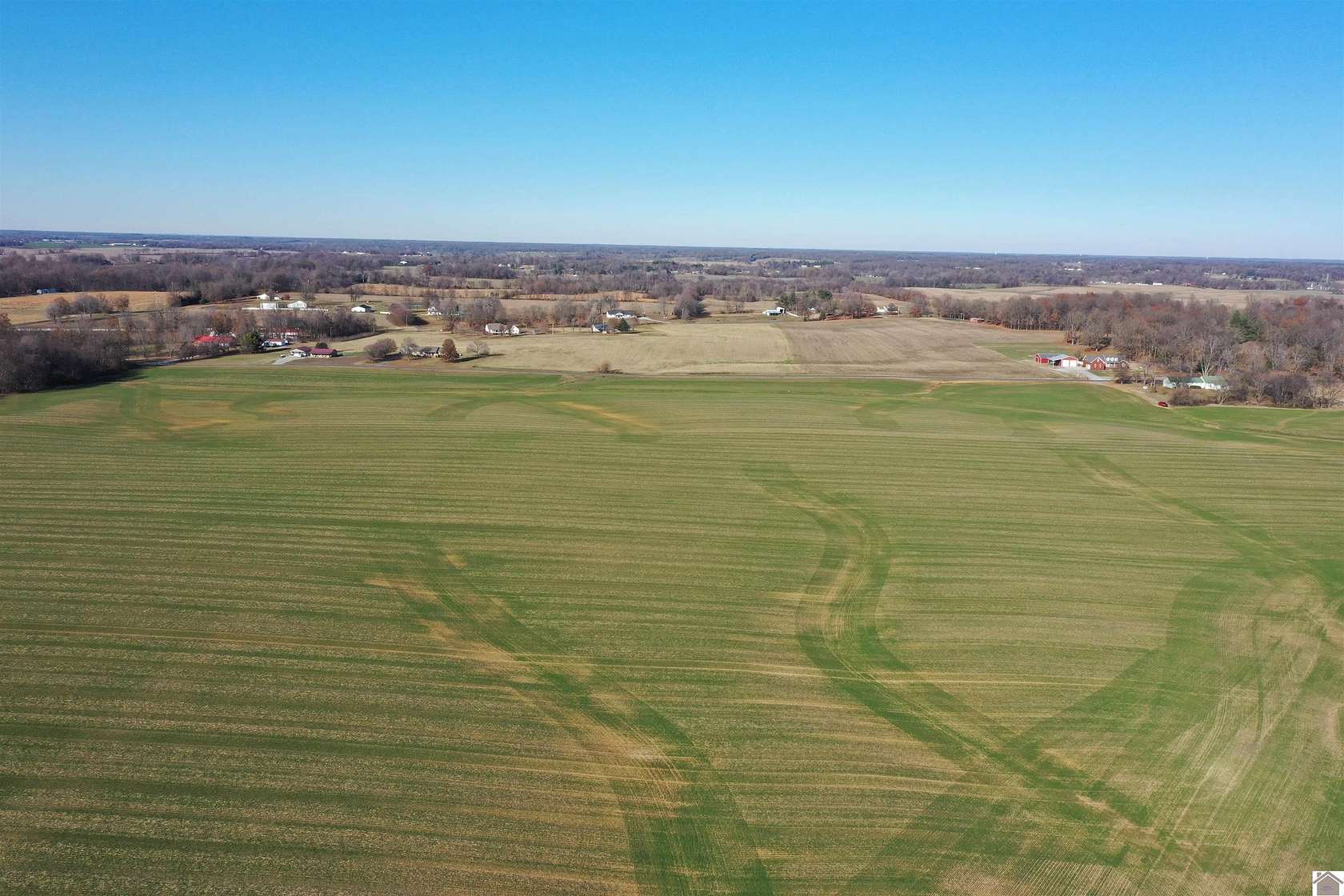 292 Acres of Agricultural Land for Auction in Mayfield, Kentucky