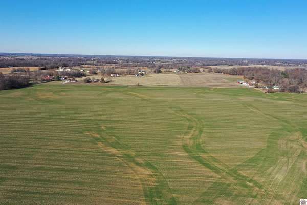 292 Acres of Agricultural Land for Auction in Mayfield, Kentucky