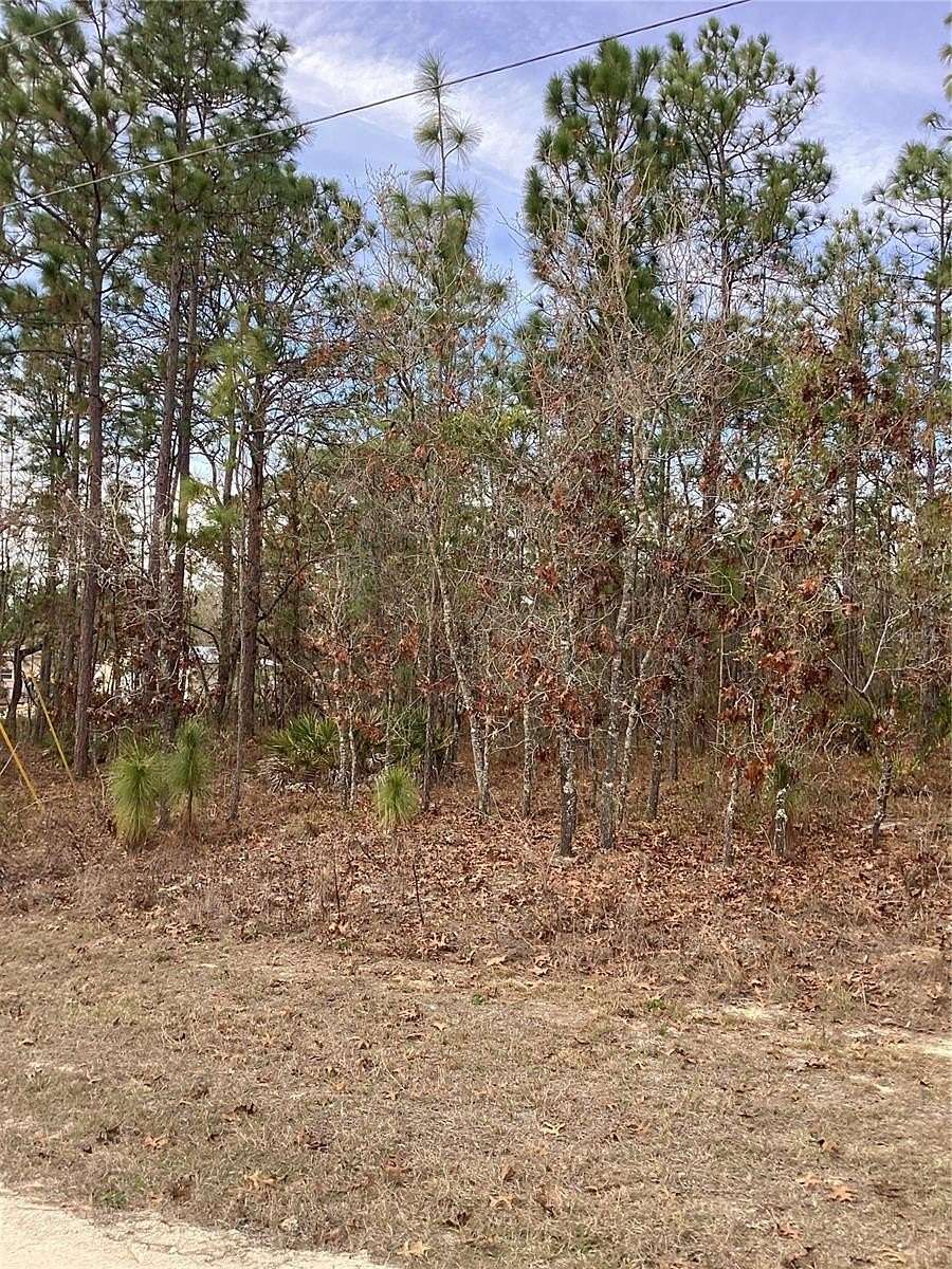 0.46 Acres of Residential Land for Sale in Weeki Wachee, Florida