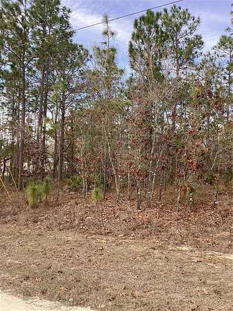 0.46 Acres of Residential Land for Sale in Weeki Wachee, Florida