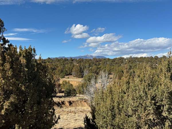 2 Acres of Land for Sale in Walsenburg, Colorado