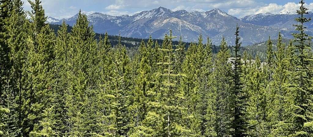 40 Acres of Land for Sale in Big Sky, Montana