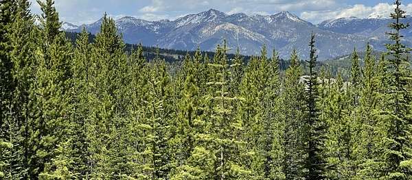 40 Acres of Land for Sale in Big Sky, Montana