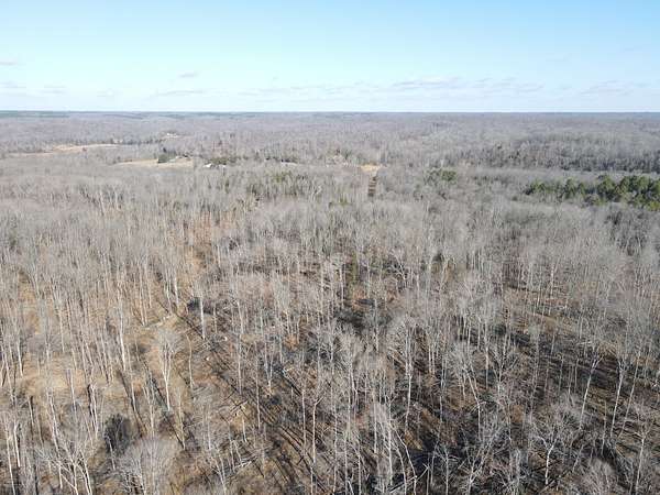 89 Acres of Recreational Land for Sale in Stewart, Tennessee