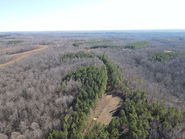 91 Acres of Recreational Land for Sale in Stewart, Tennessee