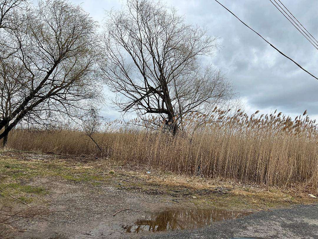 Residential Land for Sale in Staten Island, New York