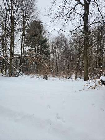 1.7 Acres of Land for Sale in Greenville, Michigan