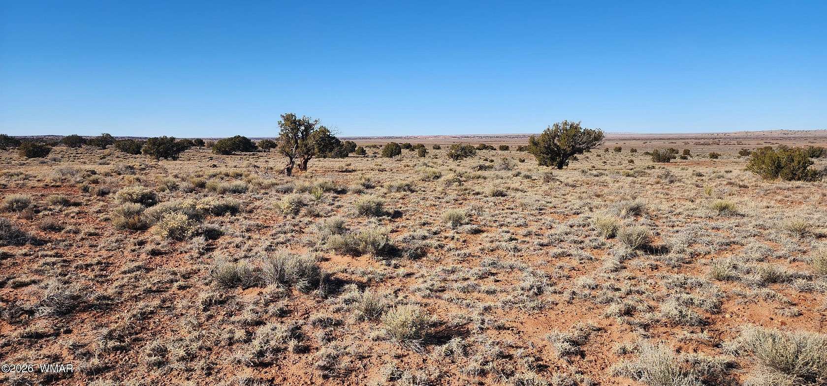 40 Acres of Agricultural Land for Sale in Concho, Arizona