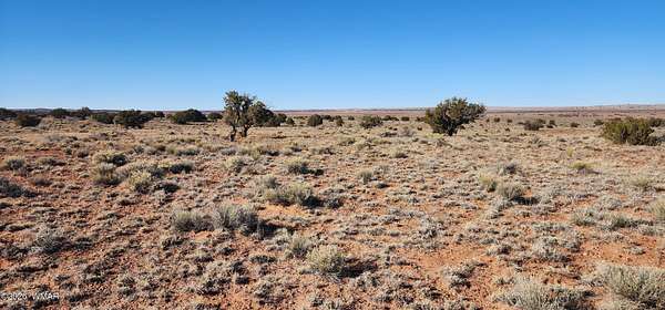 40 Acres of Agricultural Land for Sale in Concho, Arizona