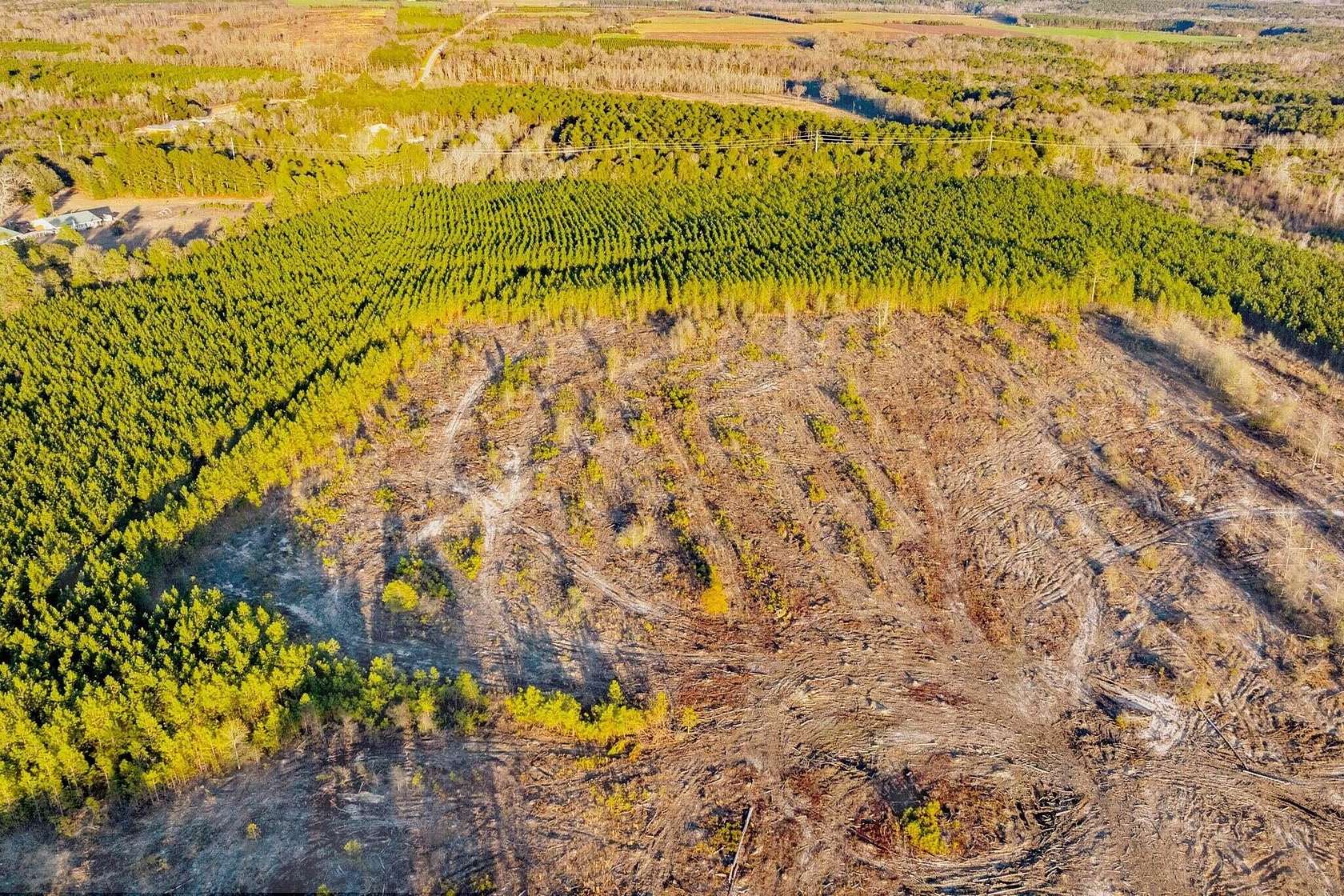 60.1 Acres of Recreational Land for Sale in Salley, South Carolina