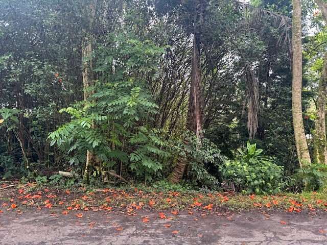 0.18 Acres of Residential Land for Sale in Pahoa, Hawaii