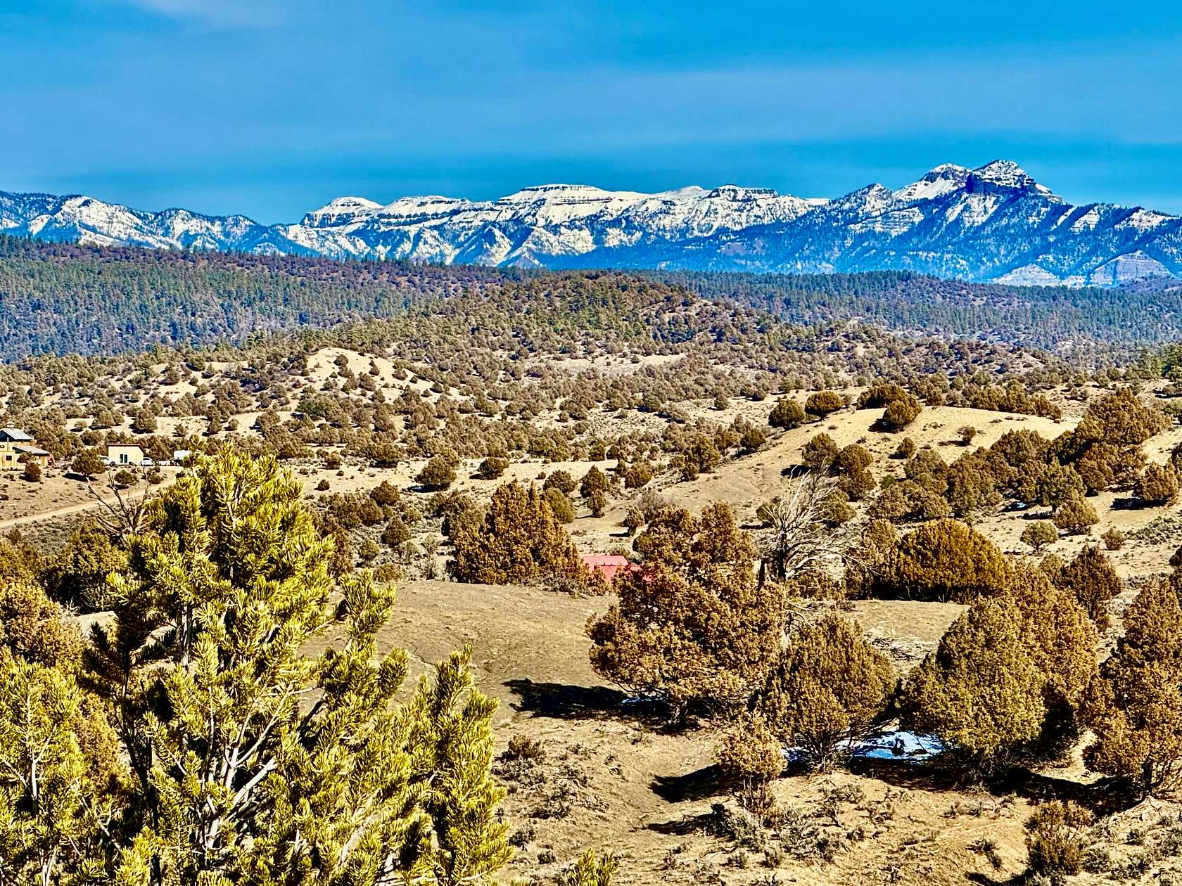 35 Acres of Land for Sale in Pagosa Springs, Colorado