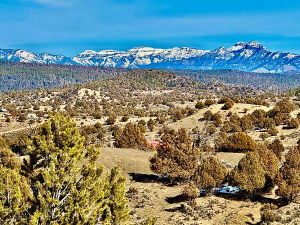 35 Acres of Land for Sale in Pagosa Springs, Colorado