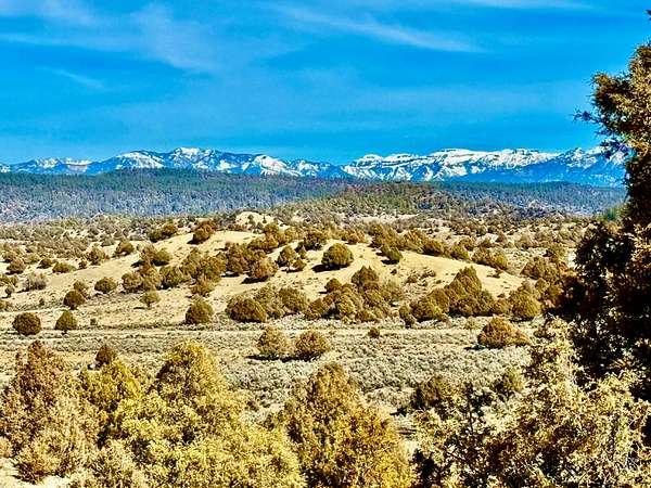 35 Acres of Land for Sale in Pagosa Springs, Colorado