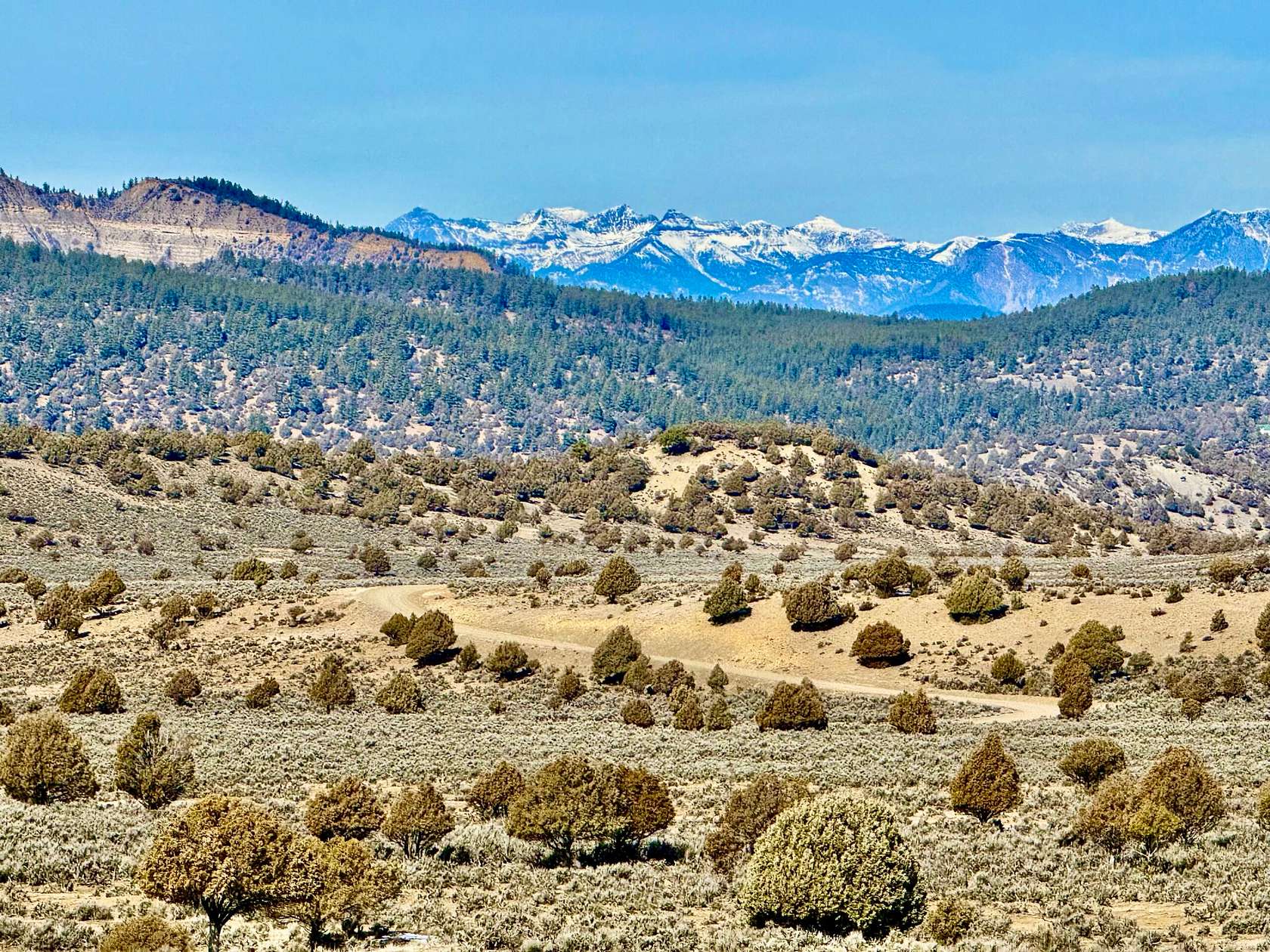 35 Acres of Land for Sale in Pagosa Springs, Colorado