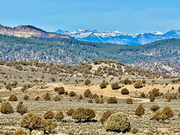 35 Acres of Land for Sale in Pagosa Springs, Colorado
