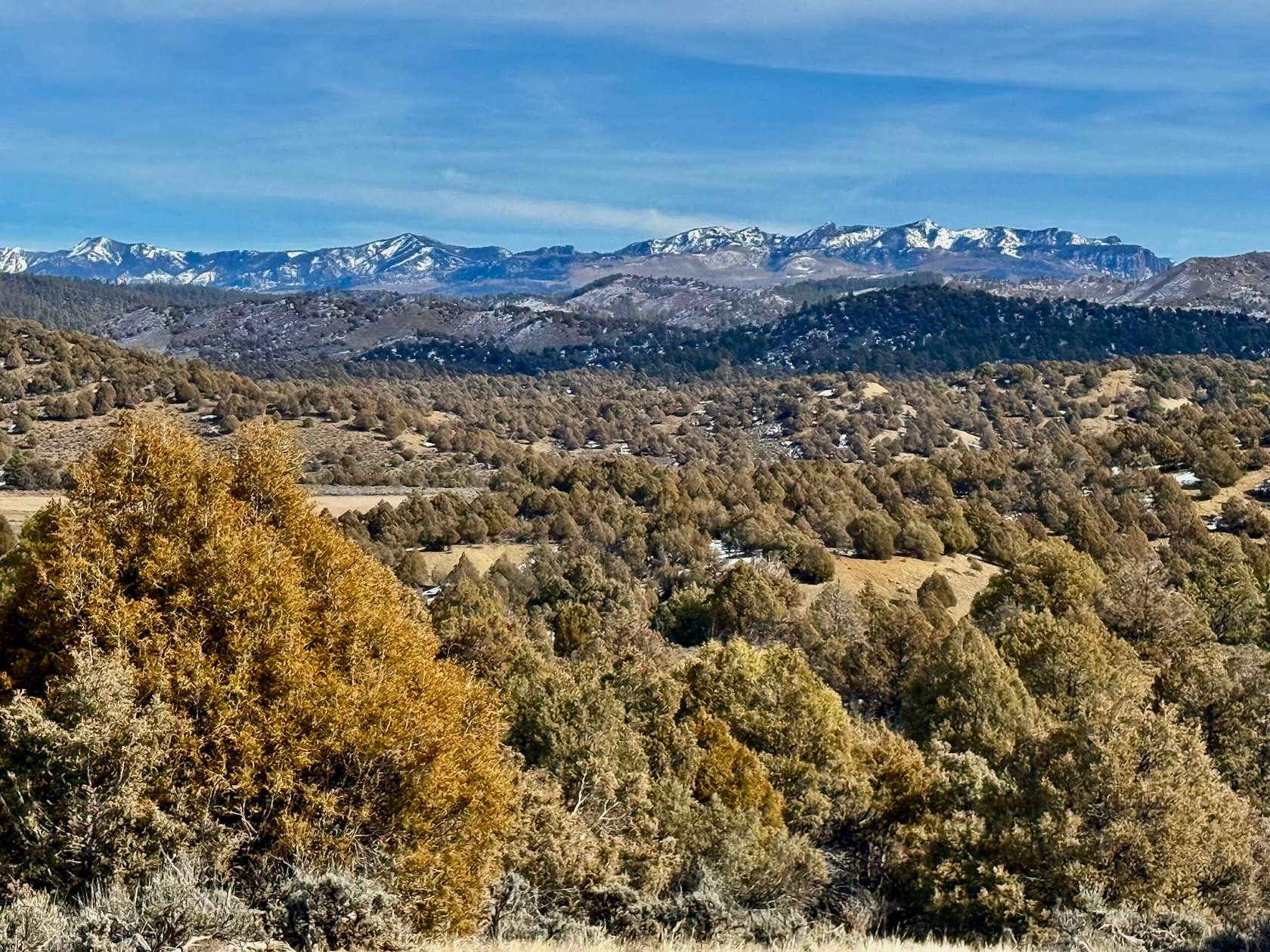 35 Acres of Land for Sale in Pagosa Springs, Colorado