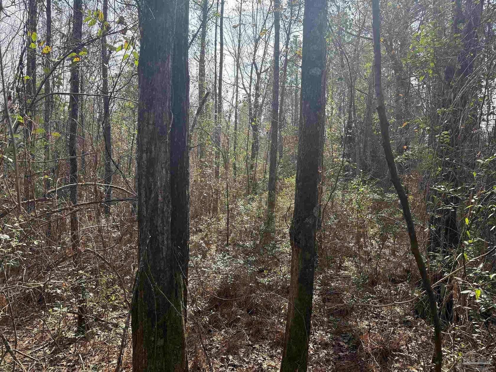 3.2 Acres of Residential Land for Sale in Range, Alabama
