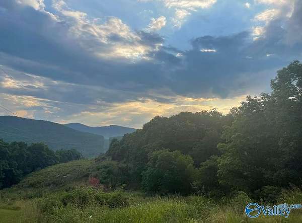 10.4 Acres of Land for Sale in Owens Cross Roads, Alabama