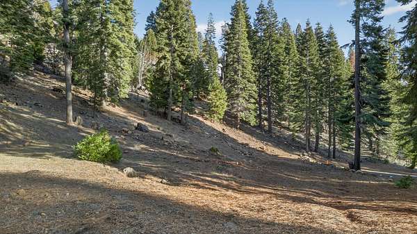 0.46 Acres of Residential Land for Sale in Lake Almanor Country Club, California